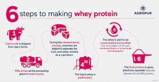What is Whey Protein3